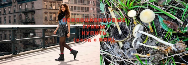 PSILOCYBIN Лиски