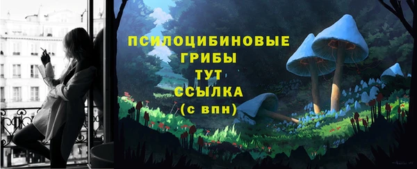 PSILOCYBIN Лиски